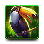 Toucan